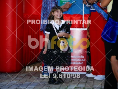 Detalhes da foto #8449924