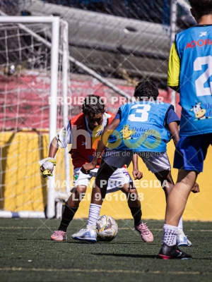 Detalhes da foto #3251135
