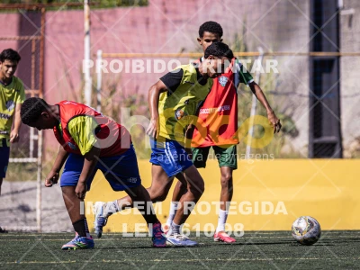 Detalhes da foto #8239260