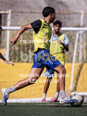 Detalhes da foto #4538419
