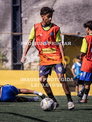Detalhes da foto #4613646