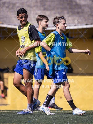 Detalhes da foto #3667744
