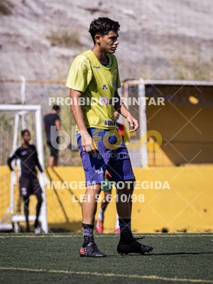 Detalhes da foto #5536572