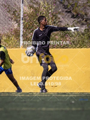Detalhes da foto #3042424