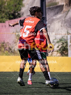 Detalhes da foto #1901710