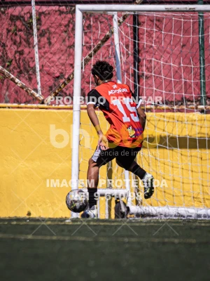 Detalhes da foto #3658429