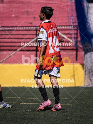 Detalhes da foto #4036785