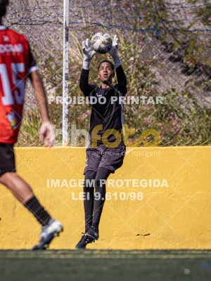 Detalhes da foto #8827830