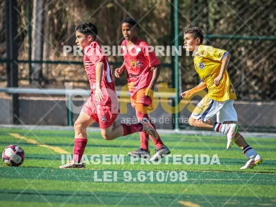 Detalhes da foto #44996