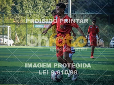 Detalhes da foto #24339