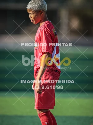 Detalhes da foto #93087