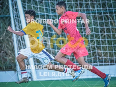 Detalhes da foto #78608