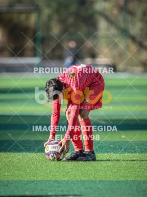 Detalhes da foto #89626