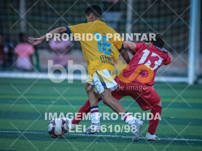 Detalhes da foto #53372