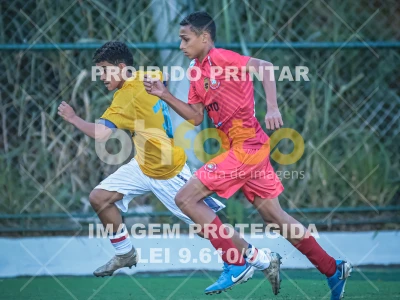 Detalhes da foto #88454