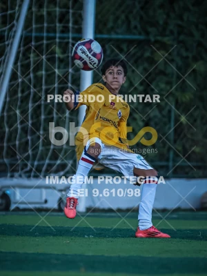 Detalhes da foto #77925