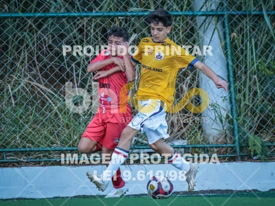 Detalhes da foto #27040