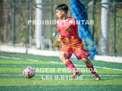 Detalhes da foto #96862