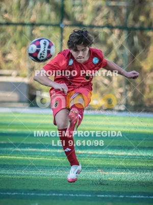 Detalhes da foto #88291