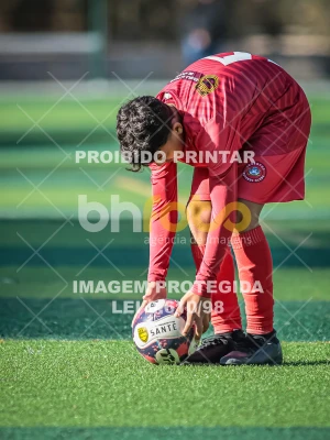 Detalhes da foto #47227