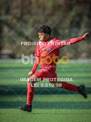 Detalhes da foto #94185