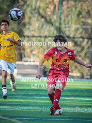 Detalhes da foto #63941