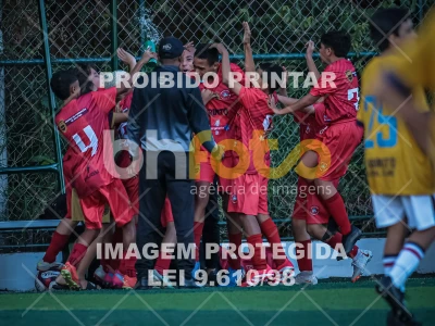 Detalhes da foto #43996