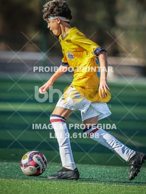 Detalhes da foto #12914