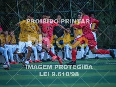 Detalhes da foto #56137