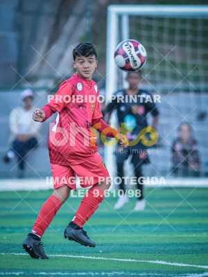 Detalhes da foto #64787