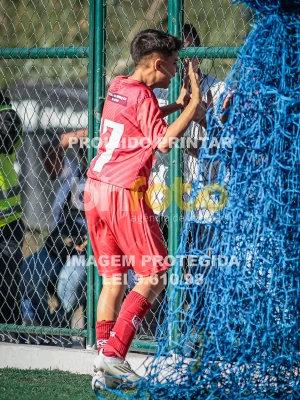 Detalhes da foto #81147