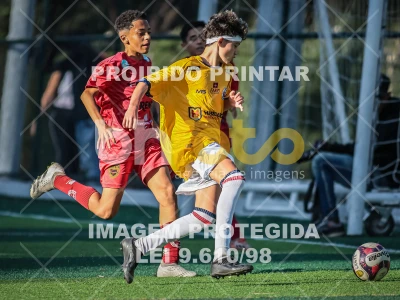 Detalhes da foto #86054