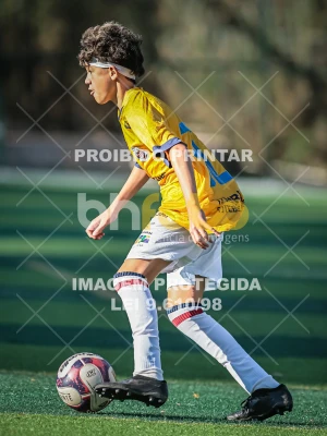 Detalhes da foto #23563