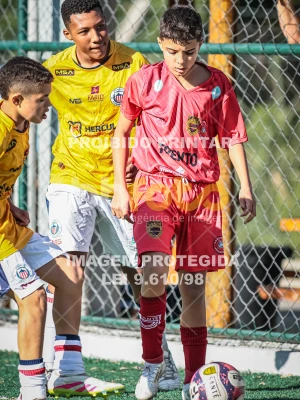 Detalhes da foto #64873