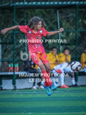 Detalhes da foto #45107