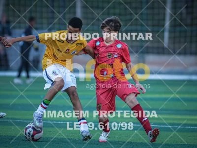 Detalhes da foto #11787