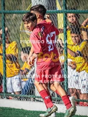 Detalhes da foto #81250