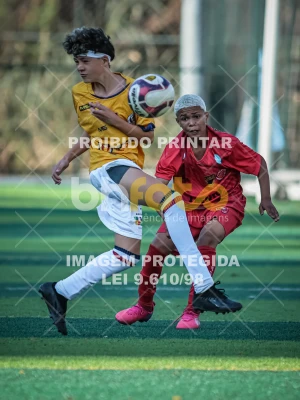 Detalhes da foto #91232