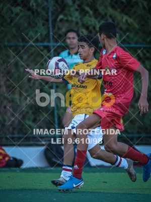 Detalhes da foto #68039