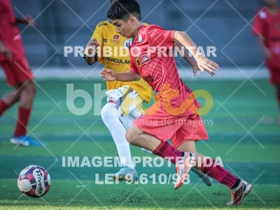 Detalhes da foto #75664