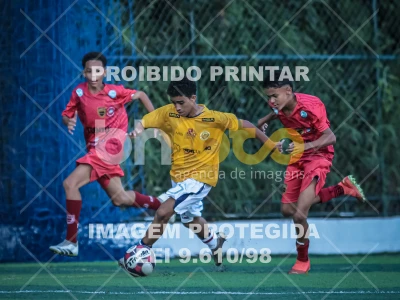 Detalhes da foto #24383