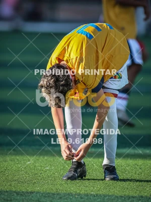 Detalhes da foto #96450