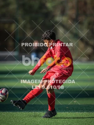 Detalhes da foto #15492