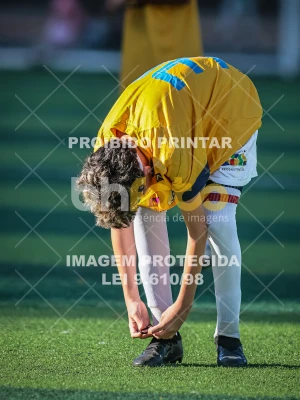 Detalhes da foto #84304