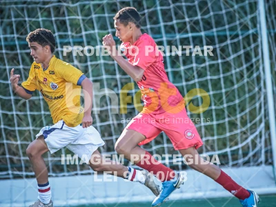 Detalhes da foto #17385