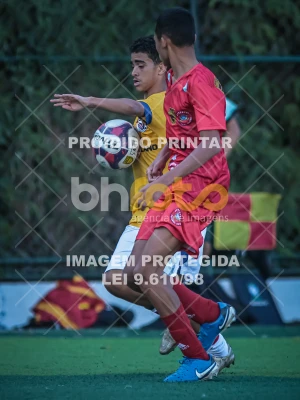 Detalhes da foto #10146