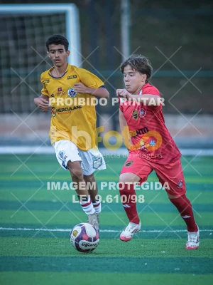 Detalhes da foto #60748