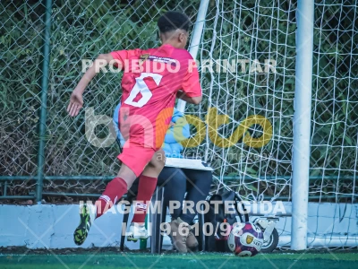 Detalhes da foto #32185