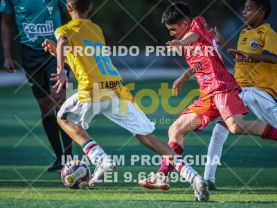 Detalhes da foto #87571