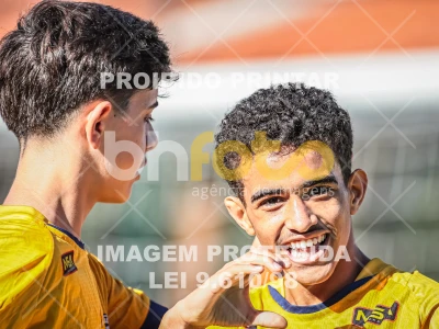 Detalhes da foto #23002